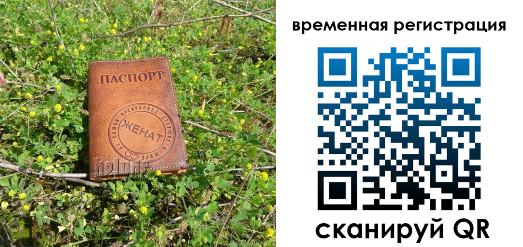 прописка регистрация в Чистополье